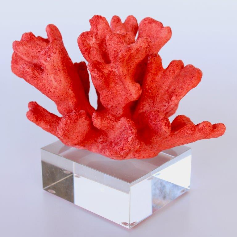 Red Coral On Crystal Base